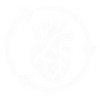 Healthy Circulation Support