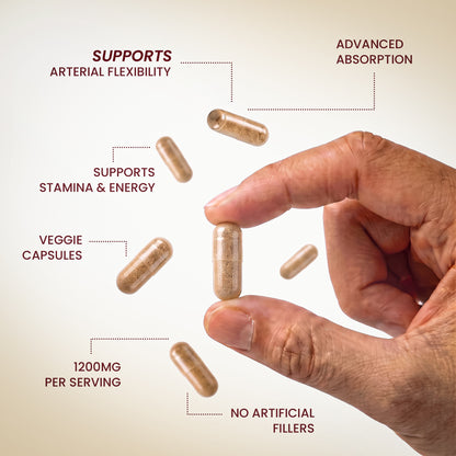 EverWell™ Circulation & Heart Support Complex