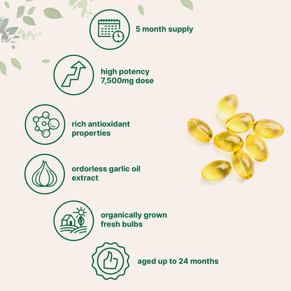 EverWell Aged Garlic Extract Softgels